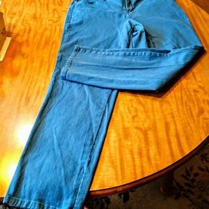 Gloria Vanderbilt Amanda,16W, jeans, LNWOT